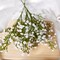 36 Pcs Babys Breath Artificial Flowers, Baby Breath Flowers Artificial Bulk Long Stem Fake Babies Breath Faux Gypsophila White Flowers Artificial for Decoration (No Eucalyptus Stems)